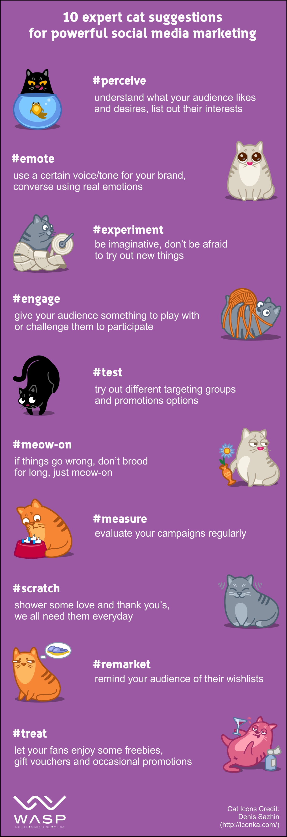 cats are social media marketing extraordinaires infographic 