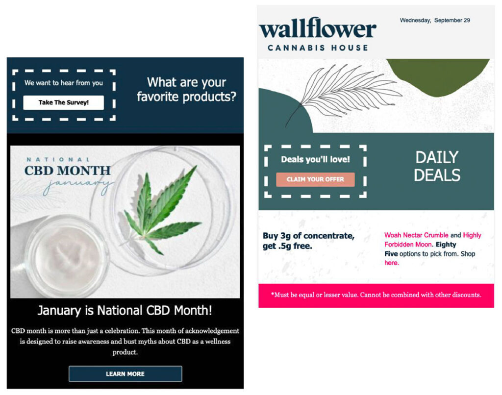 segmentation and email campaigns for cbd products